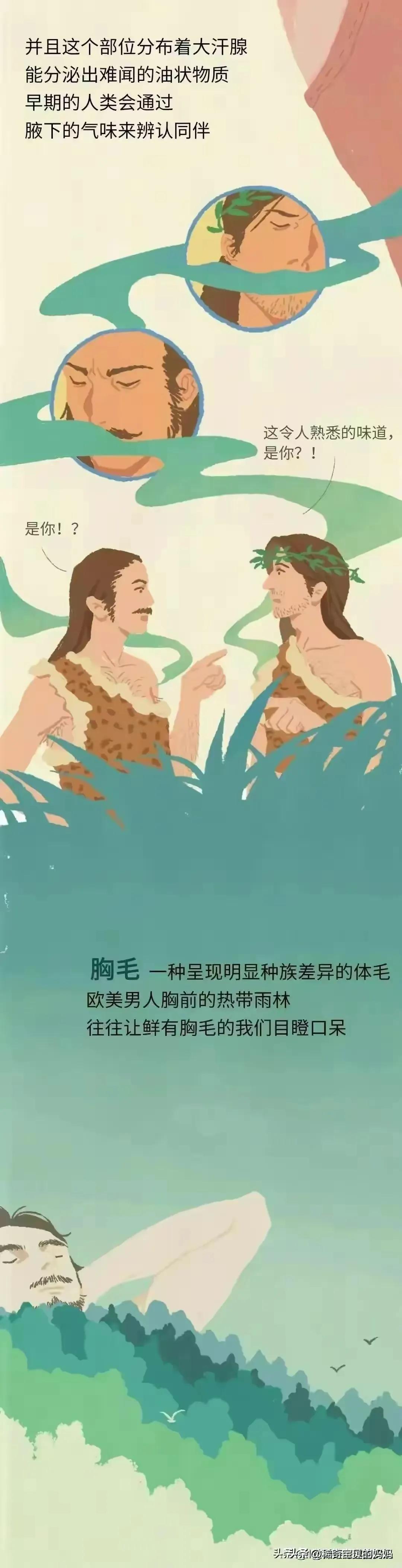 人类的毛发都是黑色的吗,人类体毛是为了什么存在的