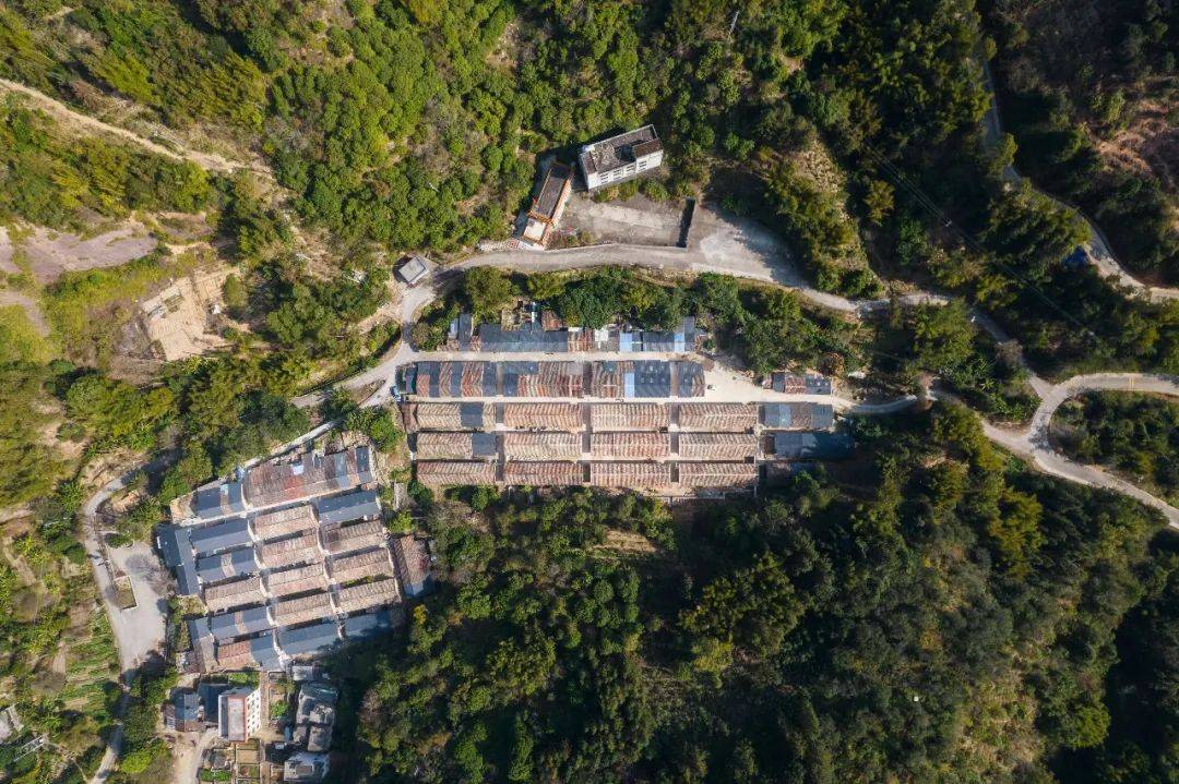 逃离考研考公985大学生疫情后开民宿从投资百万到负债累累