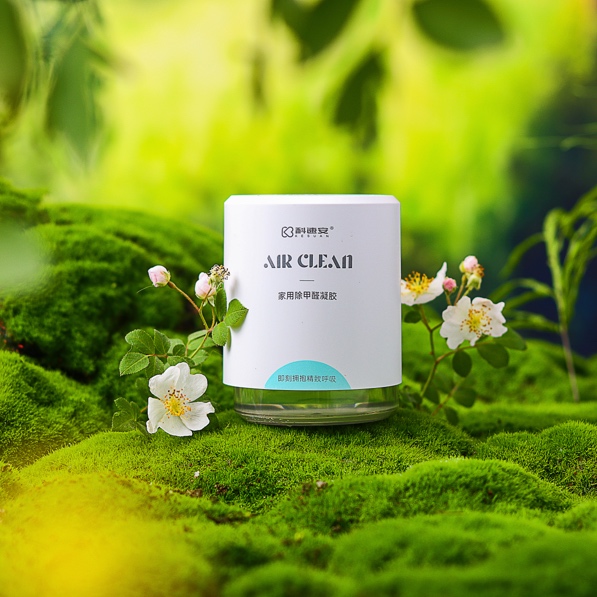 家新房着急入住找专业甲醛治理,吸甲醛的除醛好物推荐