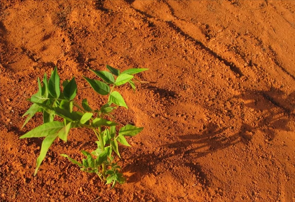 人生低谷的时候要学会大量阅读,迷茫时多看书清醒时多做事