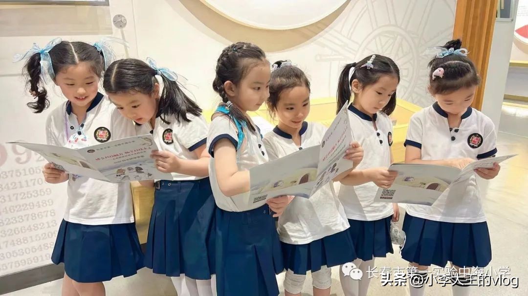 民办学校的神仙打架,长春小学打架事件