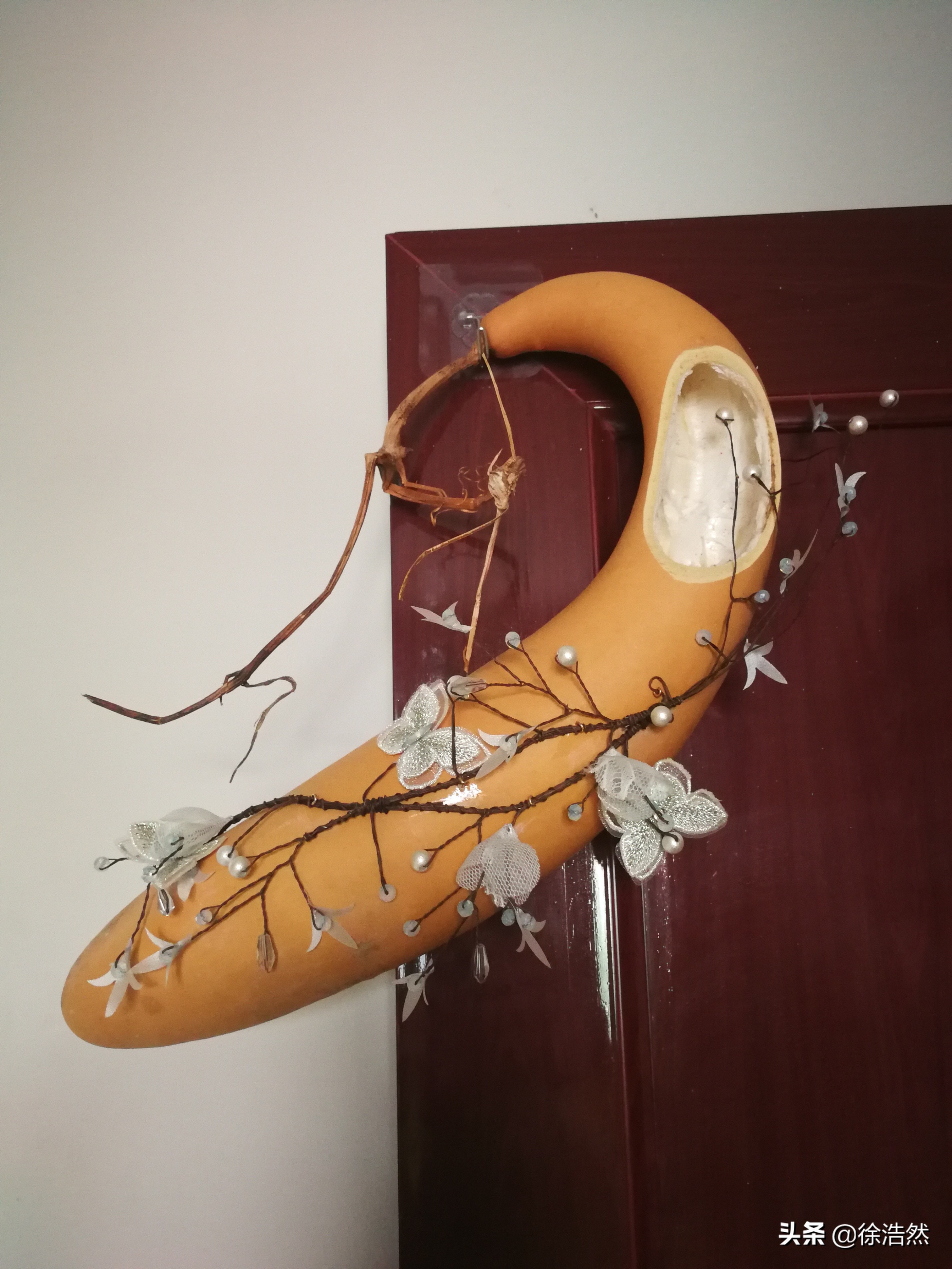 葫芦发家致富,种大葫芦利润