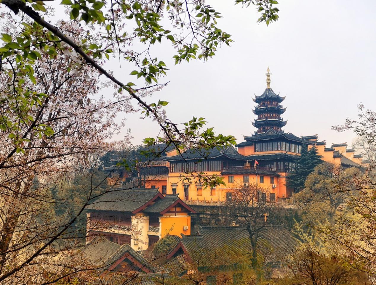 去南京玩一日游推荐,南京景点排行榜前十名一日游