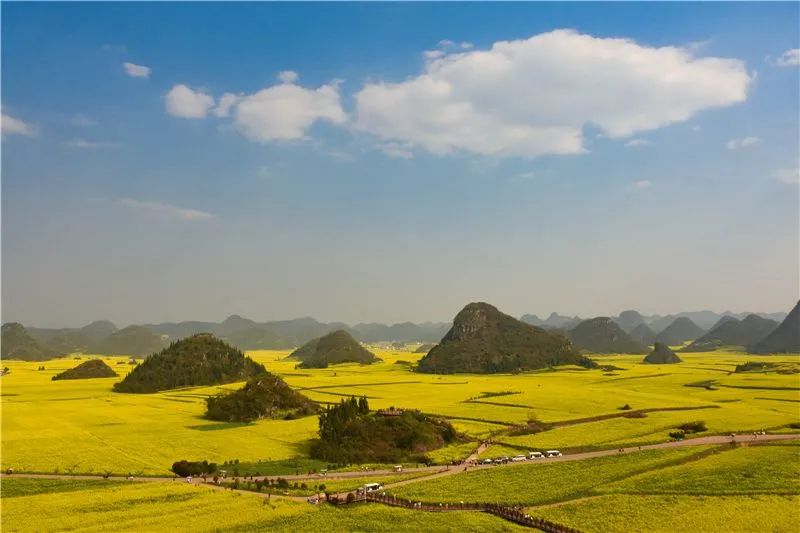 赏花来这里这是云南的专属浪漫,五月来昆明遇见紫色花海