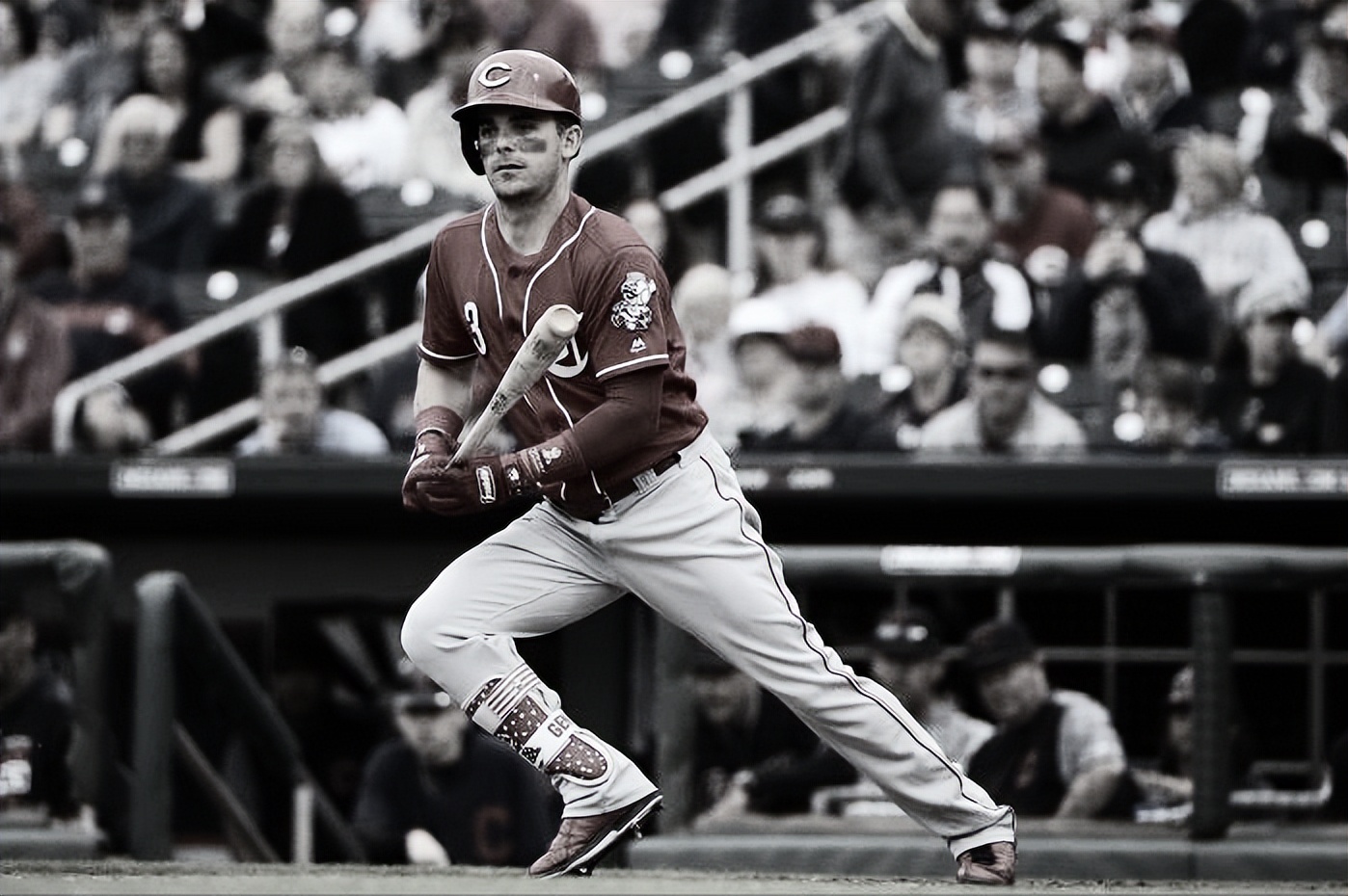 走近棒球运动·辛辛那提红人队·MLB棒球创造营