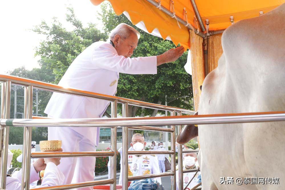 泰国提帮功王子诞辰国王委派枢密院主席举行放生功德仪式