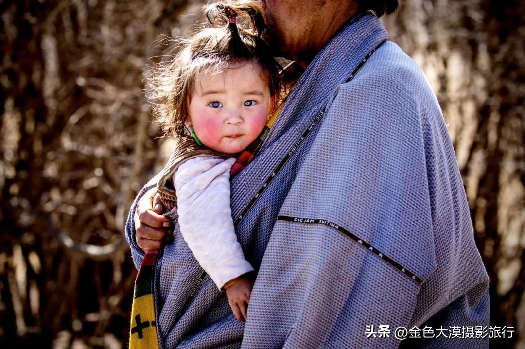 九色甘南之夏歌曲,九色甘南赏秋之旅