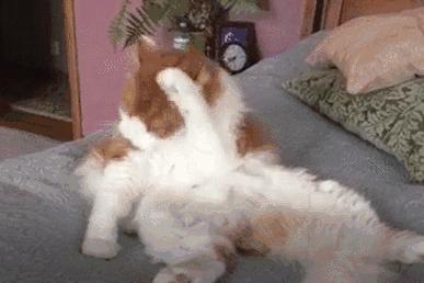 打嗝的时候被吓一跳就好了？到底有没有科学依据？终于清楚了