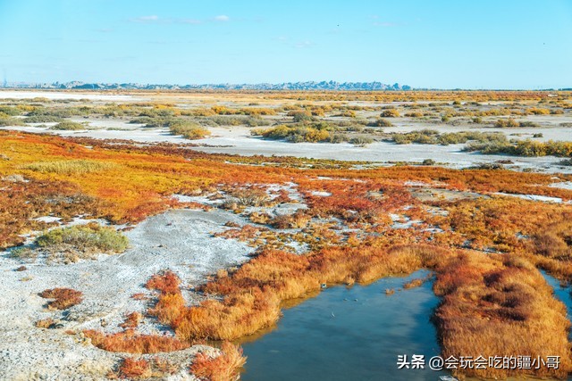 2023国内最适合秋游的地方！退休必看、人少实惠！去了就不想回家