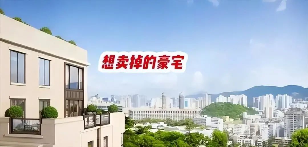 香港名媛案最新消息,香港名媛案怎么被发现的