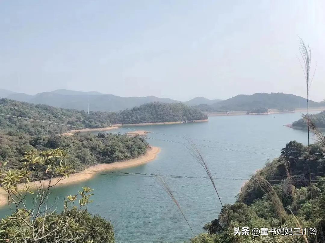 青春期男孩爱打游戏怎么办,10岁男孩爱打游戏怎么办