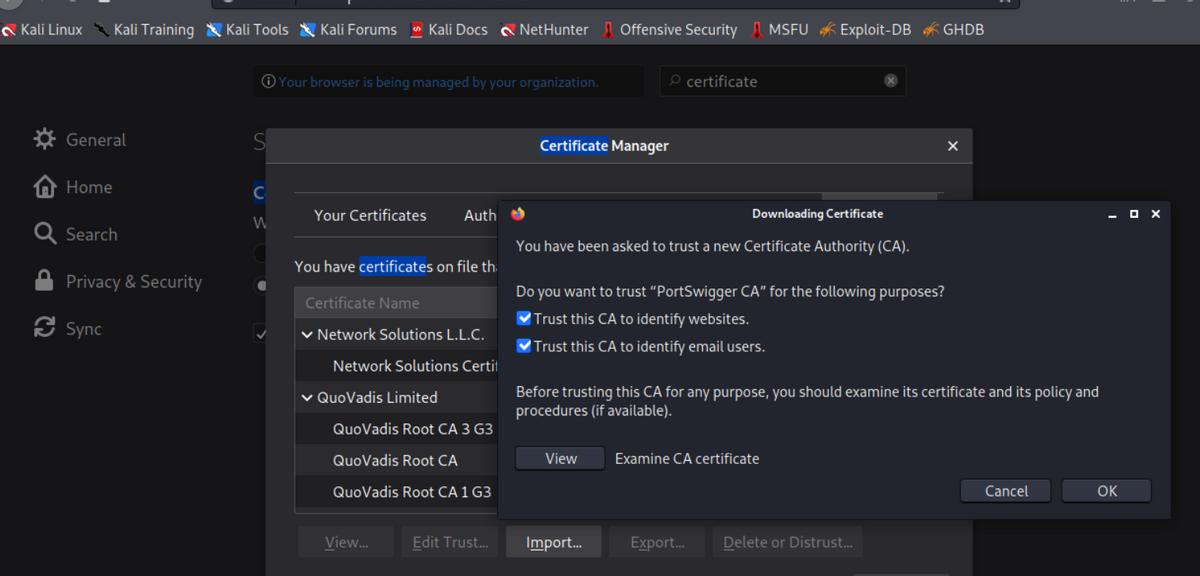 kali中burpsuite怎么汉化,kali里面自带burpsuite吗