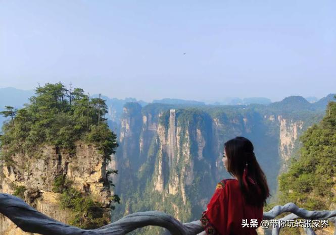 张家界自由行游玩4天攻略,湖南张家界旅游攻略4天3晚价格