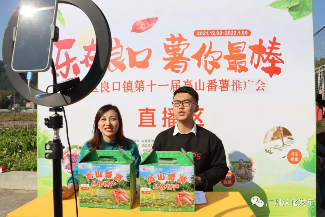 高山番薯广东广州从化地区的特产,哪个品种的番薯香甜软糯好吃