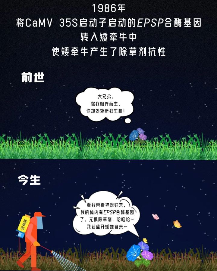 5g研发的过程,5g种植