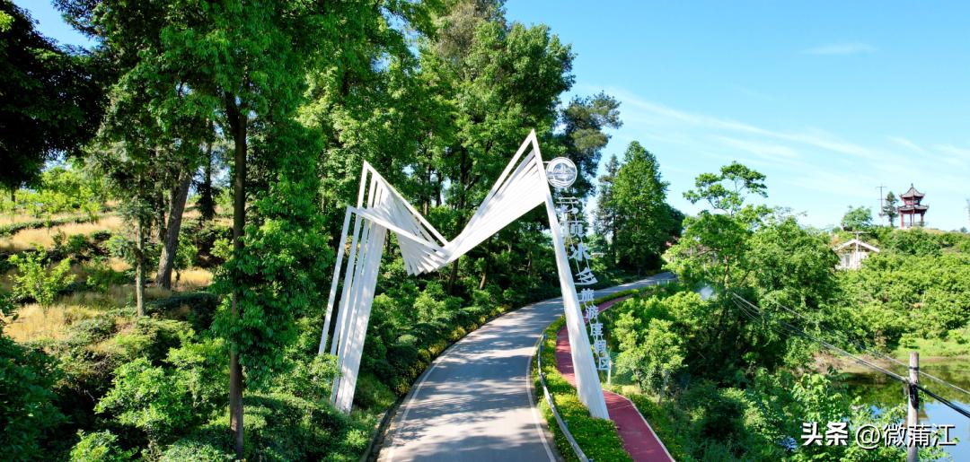 成都市全面推进乡村振兴意见建议,蒲江县乡村振兴