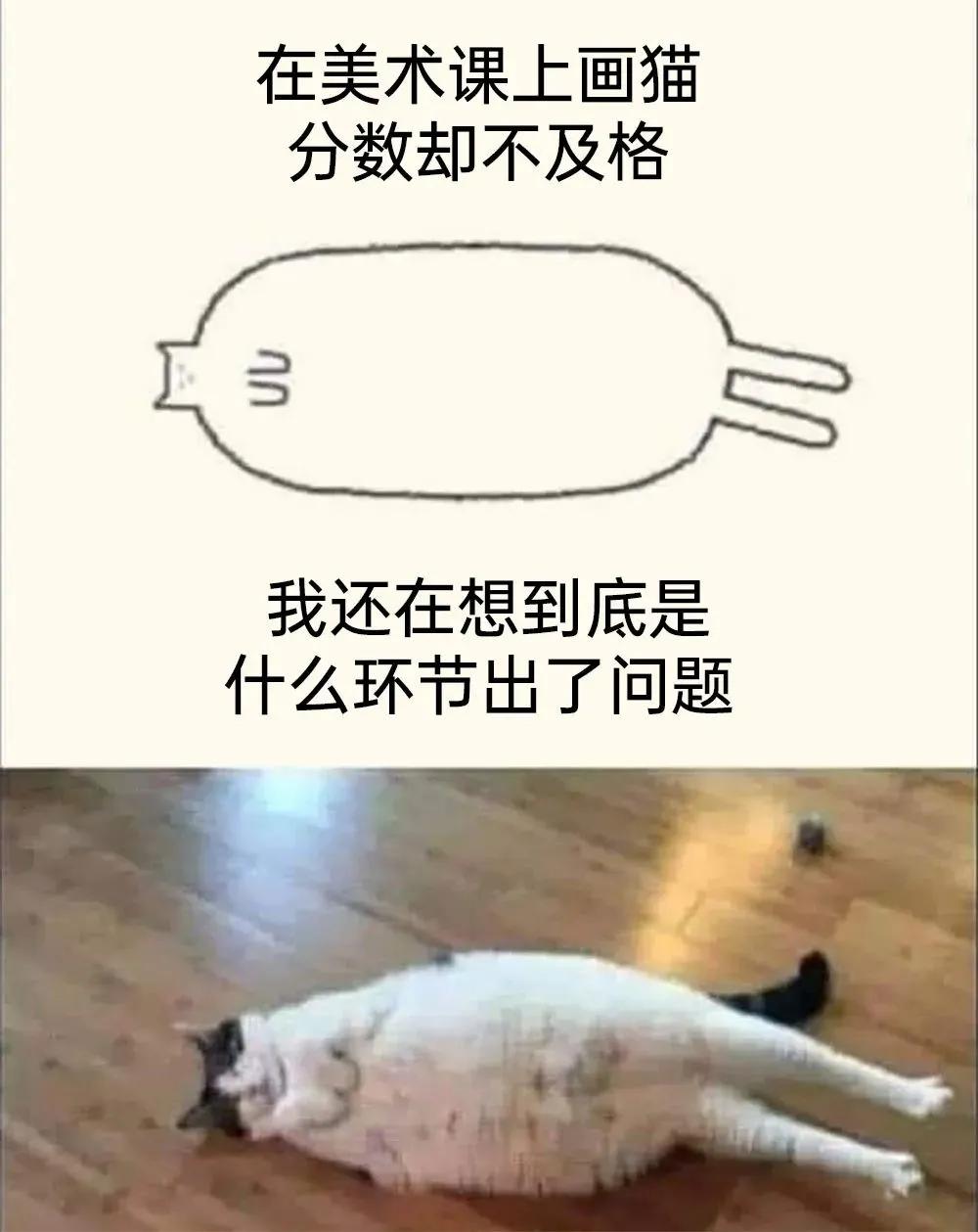 meme搞笑图,月初月末搞笑图片
