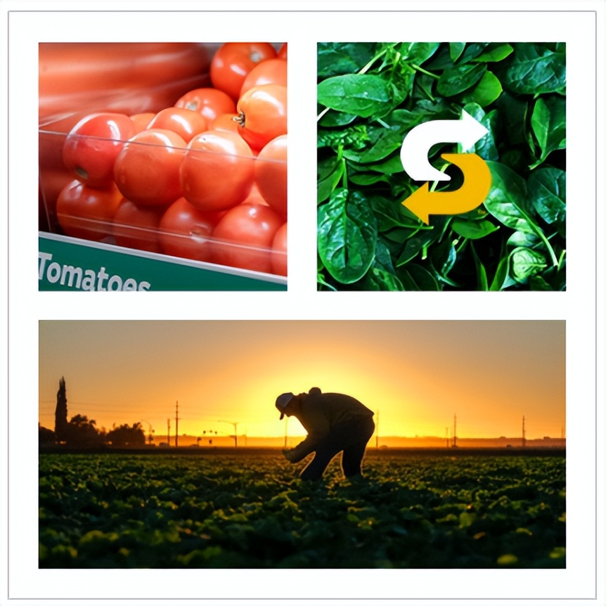 曾经比麦当劳还火的快餐店,美国快餐巨头麦当劳