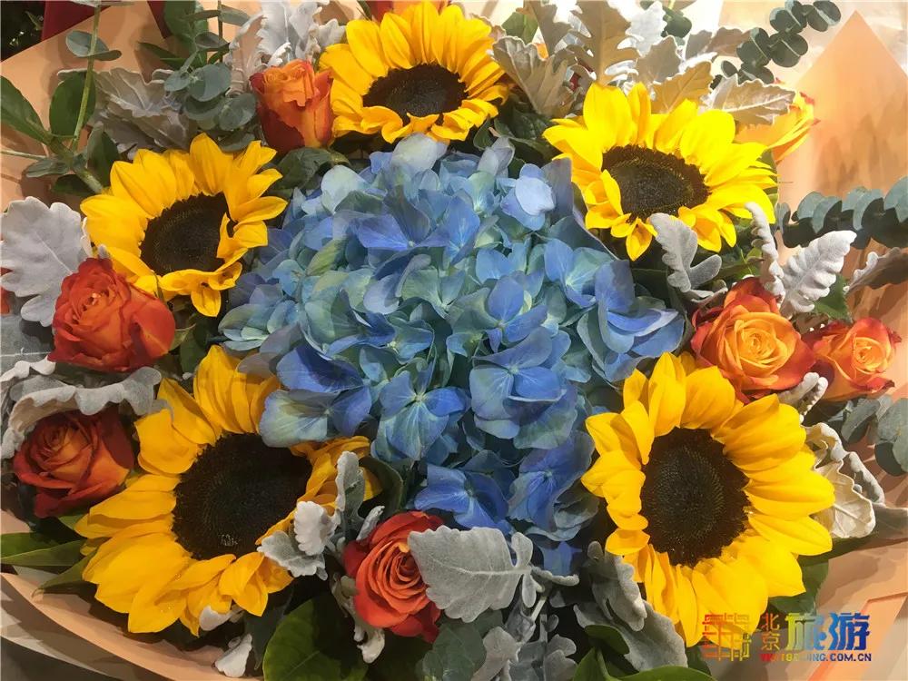 京南永清花卉批发市场,京南花卉批发市场