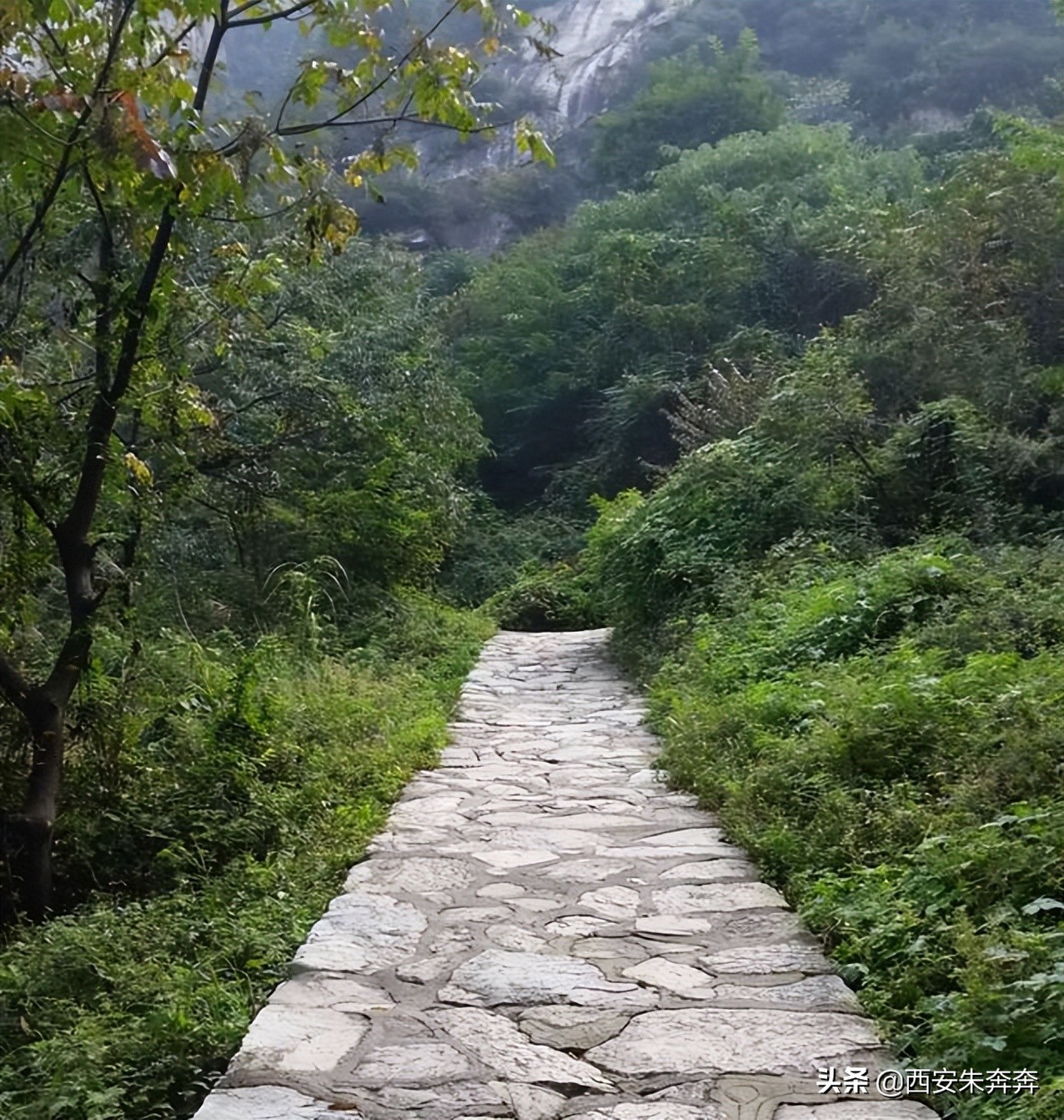 翠华山爬山攻略,翠华山爬山攻略一日游