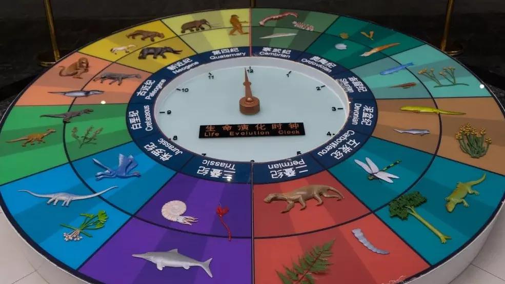 相约博物馆的感受,古生物博物馆南京