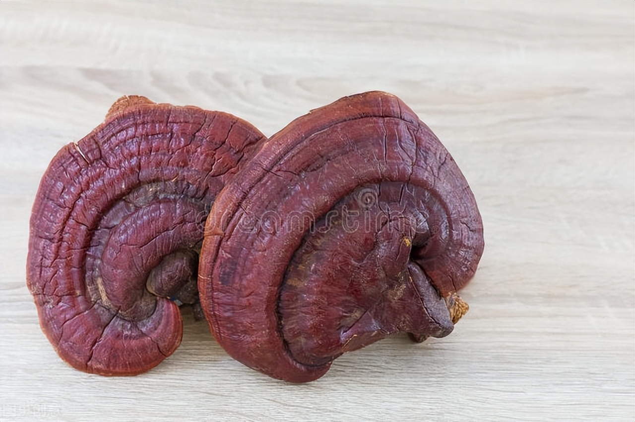 山药灵芝治什么病,灵芝治疗虚症的小验方