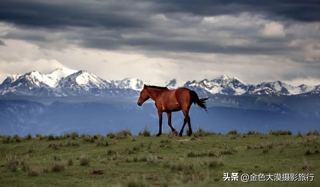 新疆的北疆南疆伊犁哪个最好玩,新疆的伊犁旅游区