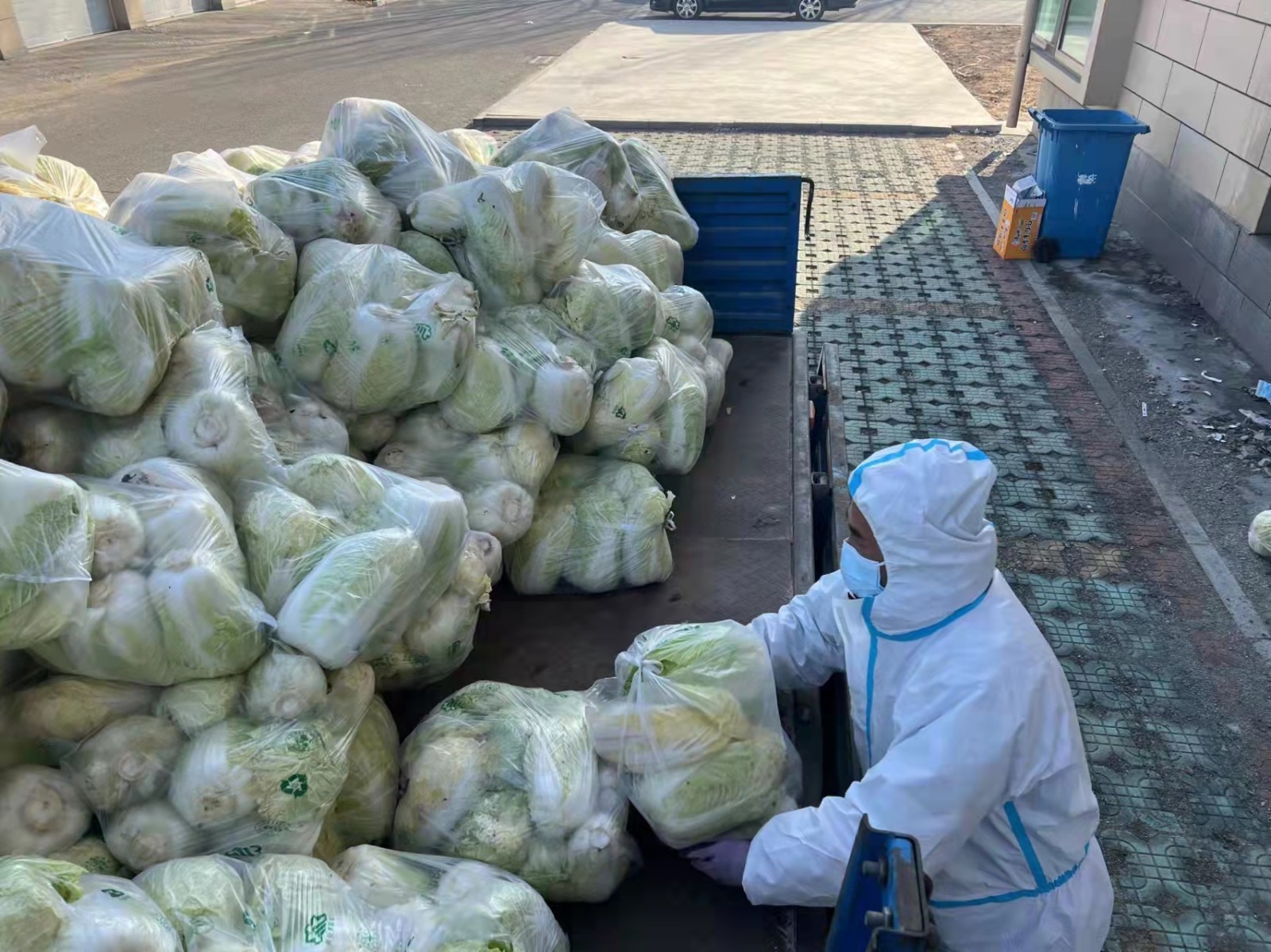 闈掑矝涓拌鍐滃寲,闈掑矝涓拌鍐滆祫