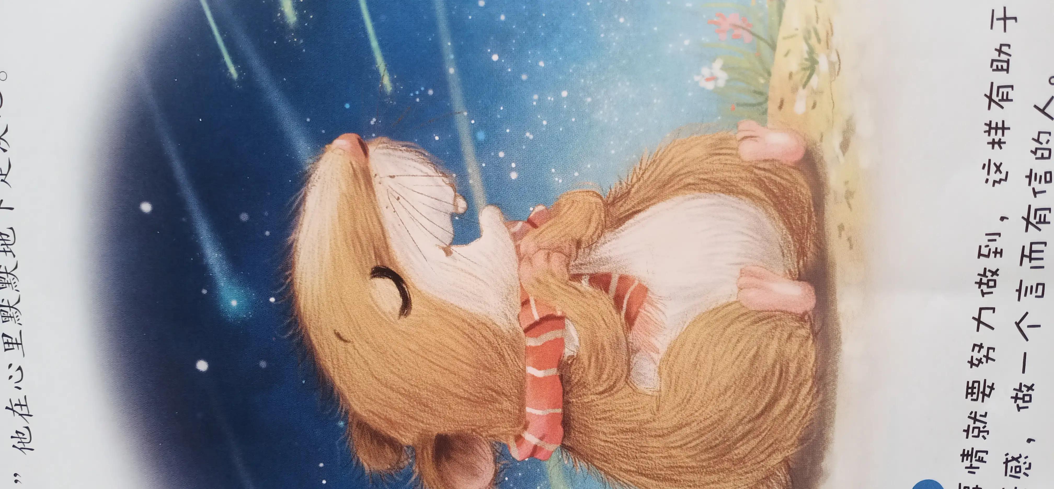 陪孩子读具有教育意义的绘本故事,培养孩子自信内心强大的绘本故事