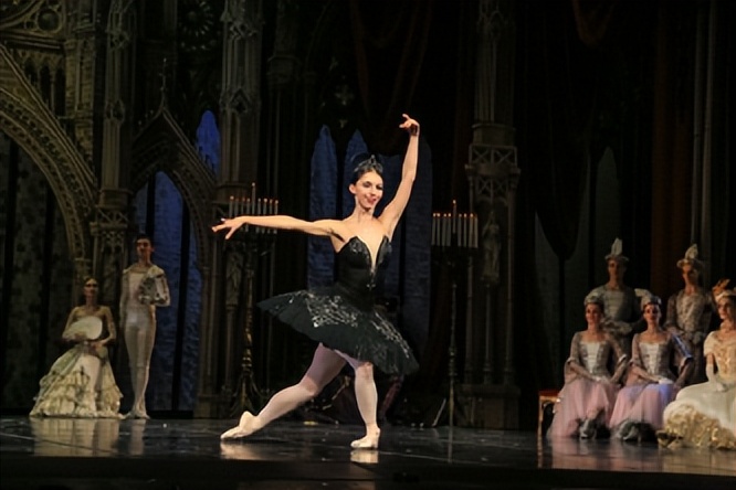 美丽的外来者：麋鹿苑中的黑天鹅