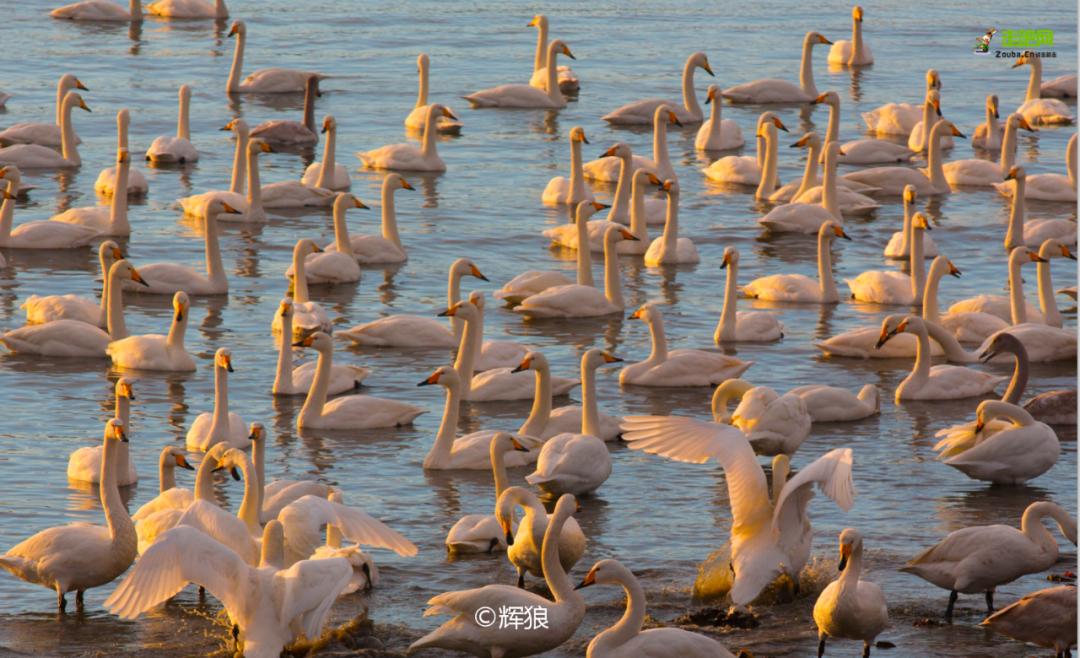 对的时间去对的地方,对的时间和对的人一起旅游
