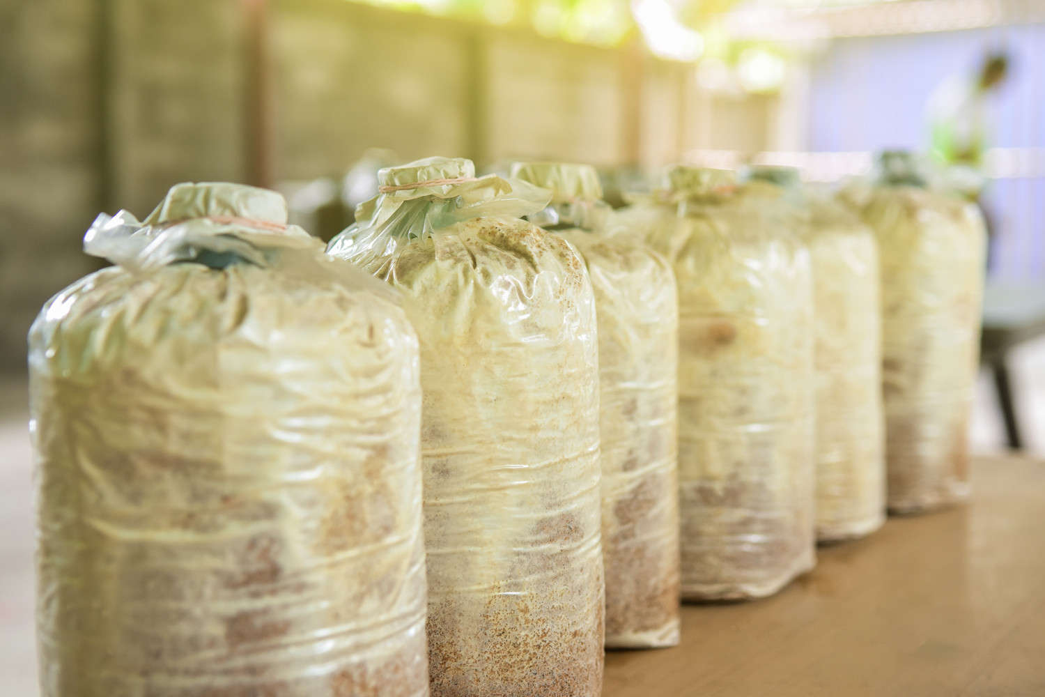 废旧木材收集有什么用,为什么总有小贩收村里的旧木头