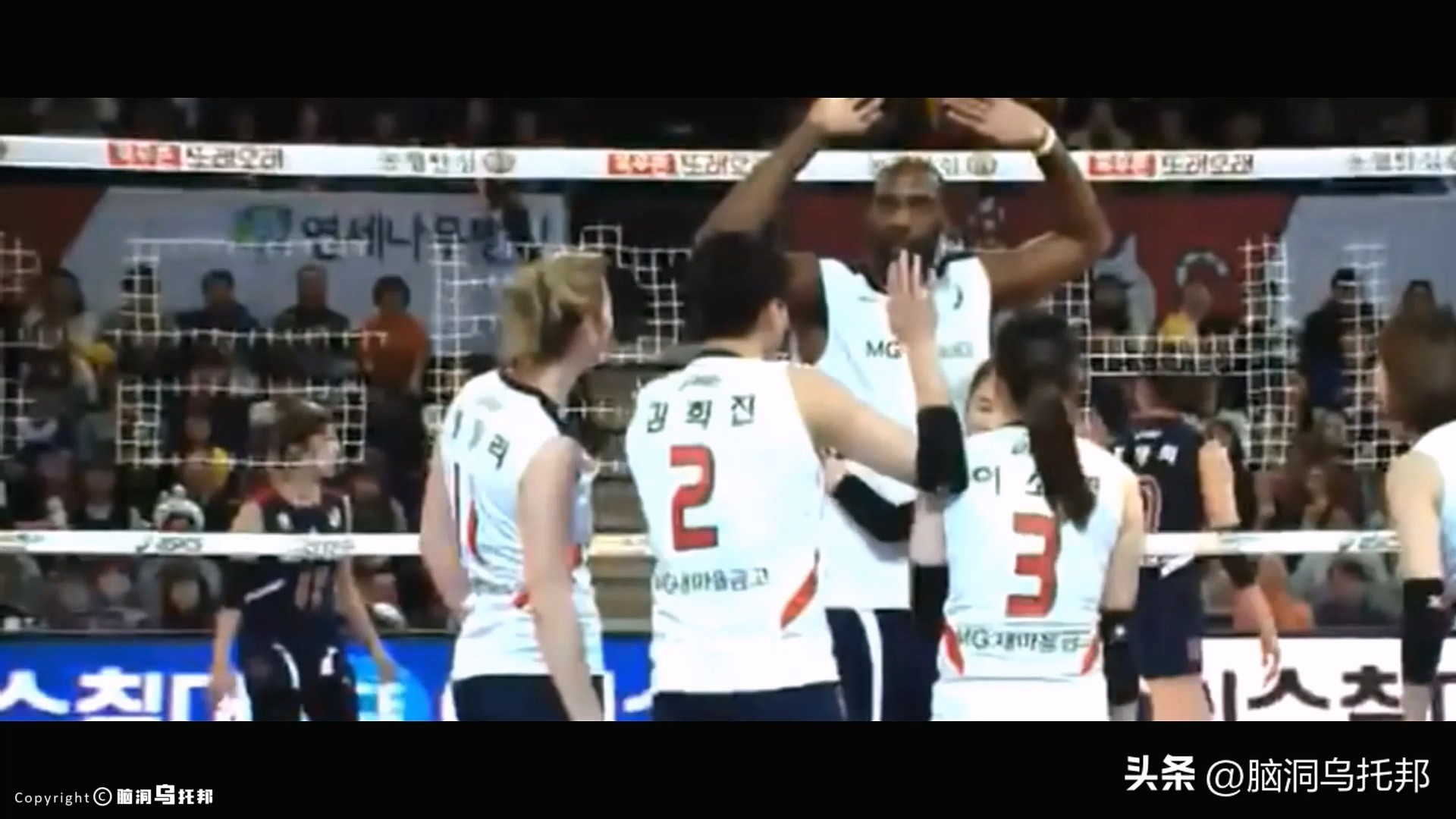 排球李多英身材,韩国排球李多英