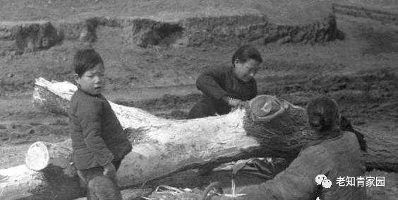 记录60年代真实中国生活,50年代百姓生活的真实影像