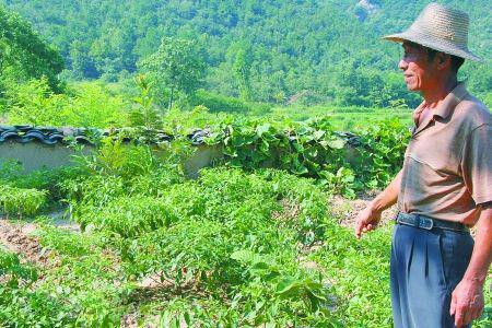 23岁杨锁饿死家中,23岁杨锁饿死在家中