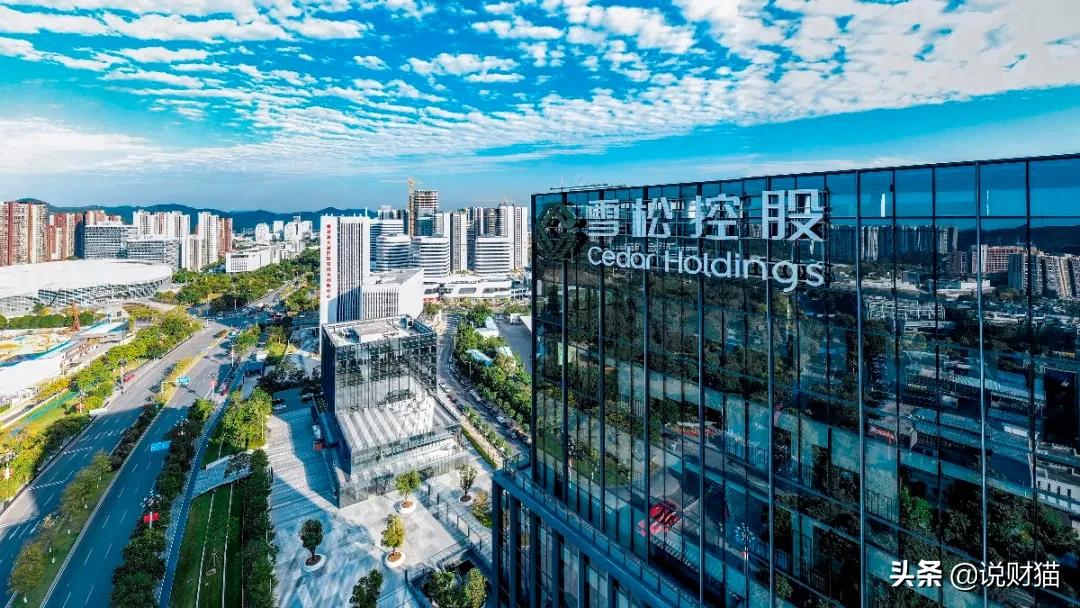 股神被骗50亿投资,股神巴菲特巨亏500亿