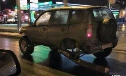 俄罗斯俩逃票游客暴打棕熊,两俄罗斯人逃票误将棕熊打成重伤