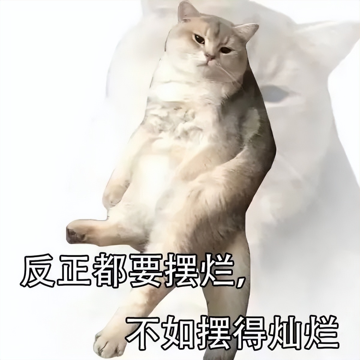 梅西夺冠有深度,梅西夺冠最激动