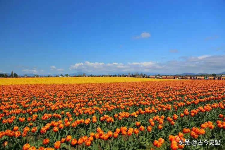 带你了解神秘的青海,青海省冷知识