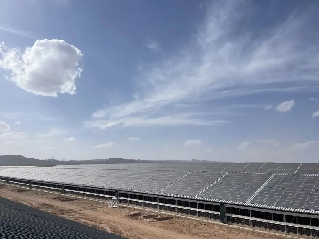 坐标宁夏：牛棚能发电？这个BIPV建筑光伏一体化项目顺利并网发电