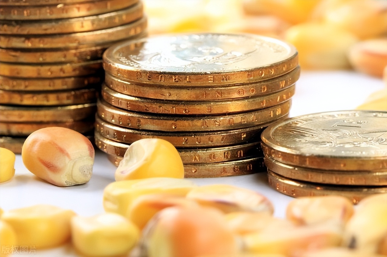 全国玉米价格2021年玉米期货走势,玉米价格走势吉林省的玉米价格