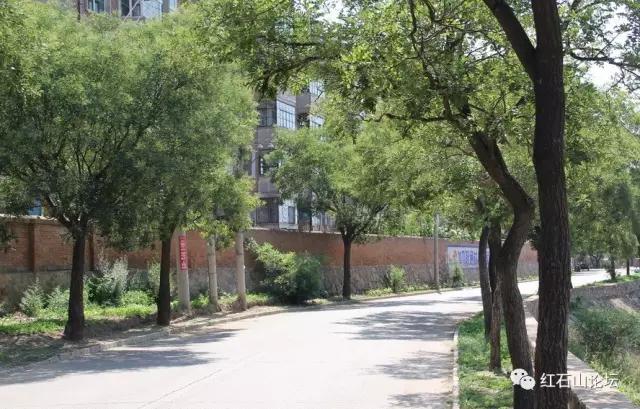 美丽的龙作曲,龙烟的图片