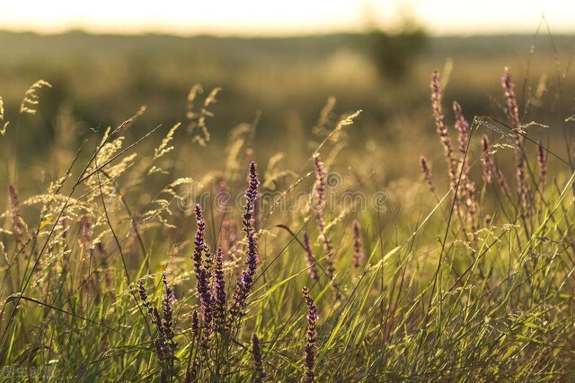 元华八段锦全套自学课程,八段锦自学需要注意什么吗