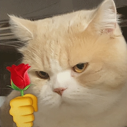 28款绝美神仙耳饰,超精致的耳环仙女必备