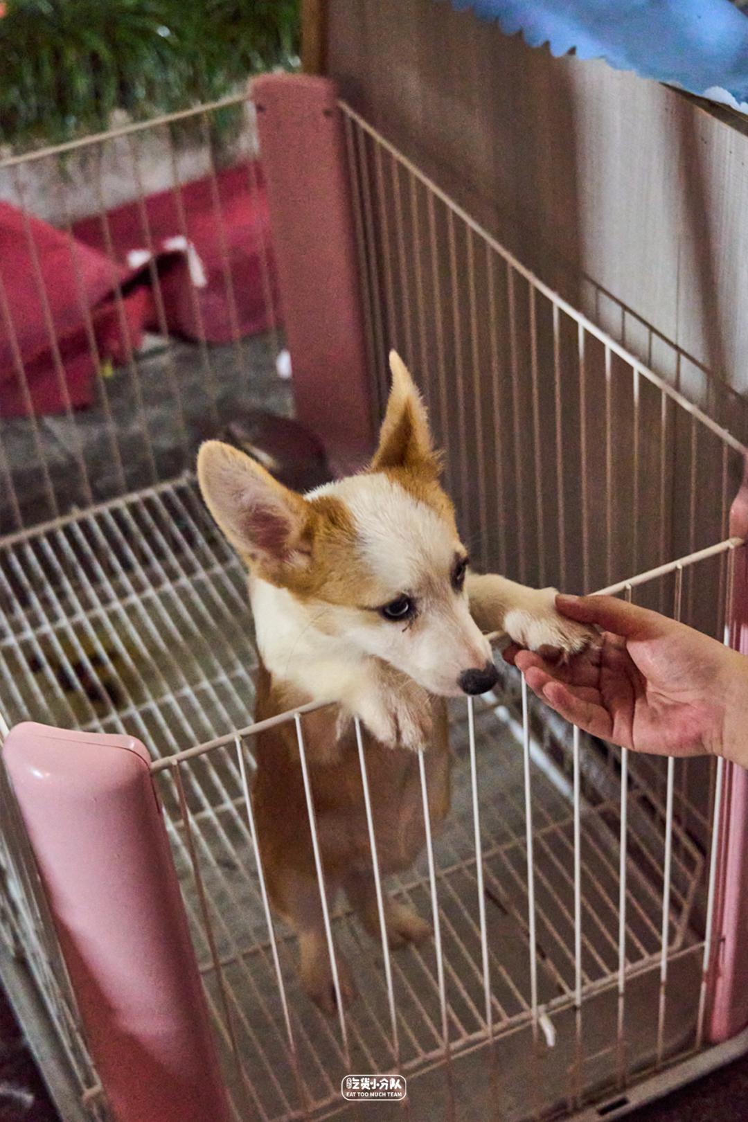 上海夜市全攻略,上海夜市汇总