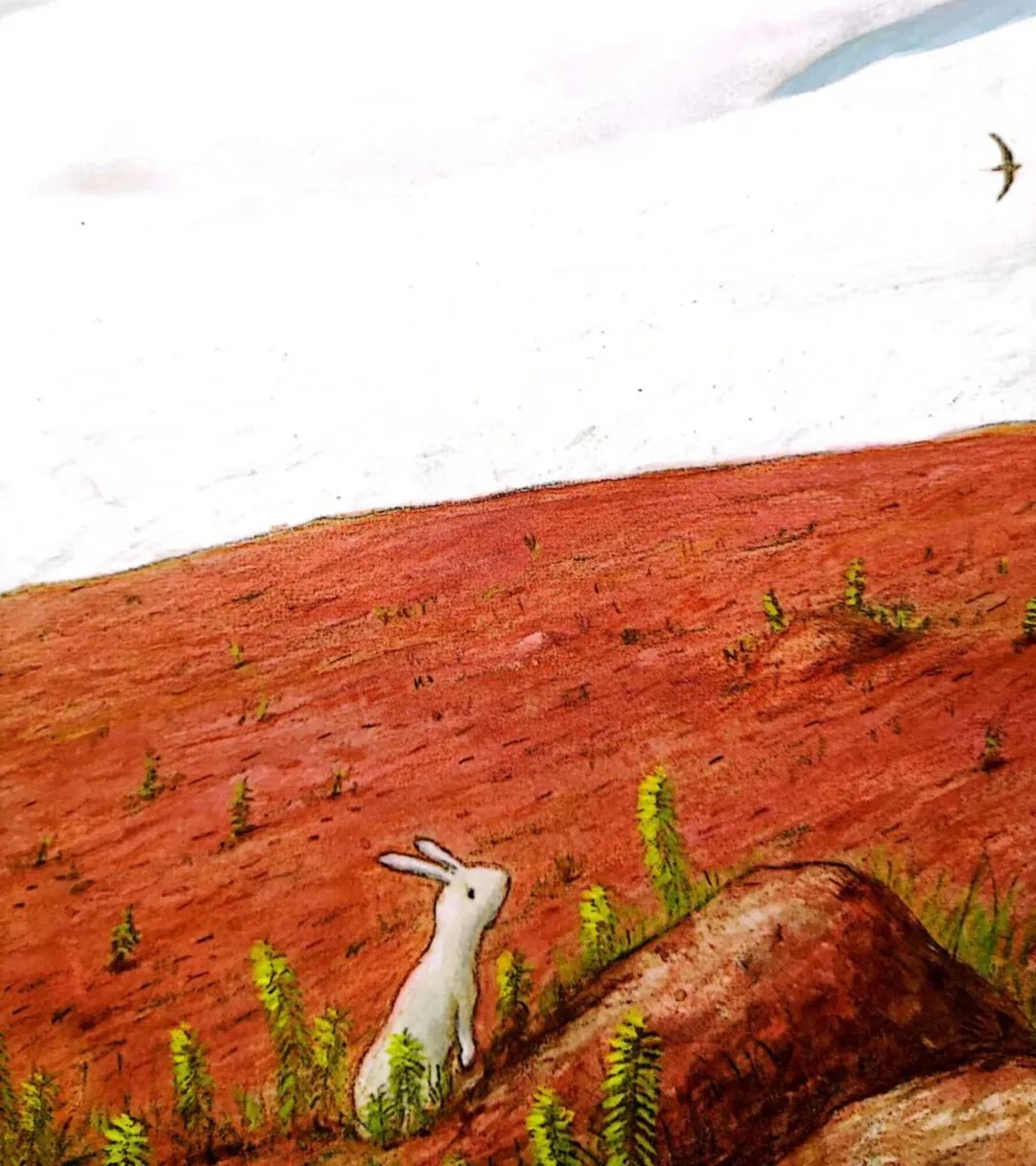 值得孩子看的4本经典绘本,绘本推荐3-6岁散步