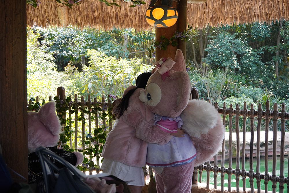 排队5小时、互动2分钟，与玲娜贝儿拥抱背后