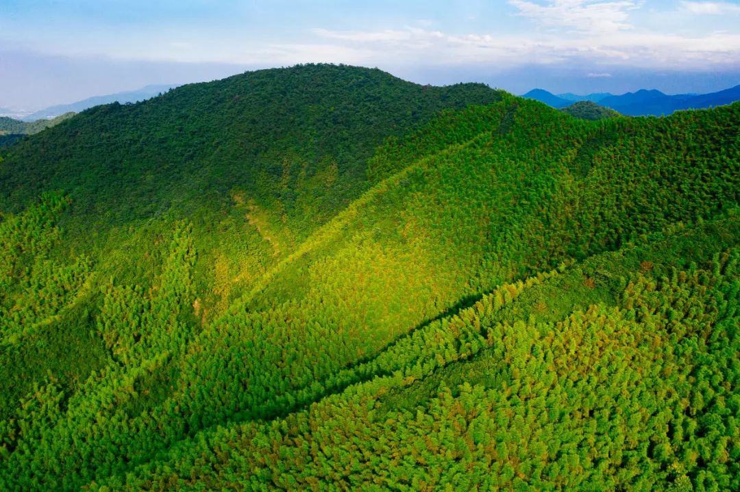 适合冬天去的民宿莫干山民宿,莫干山民宿天花板体验之旅