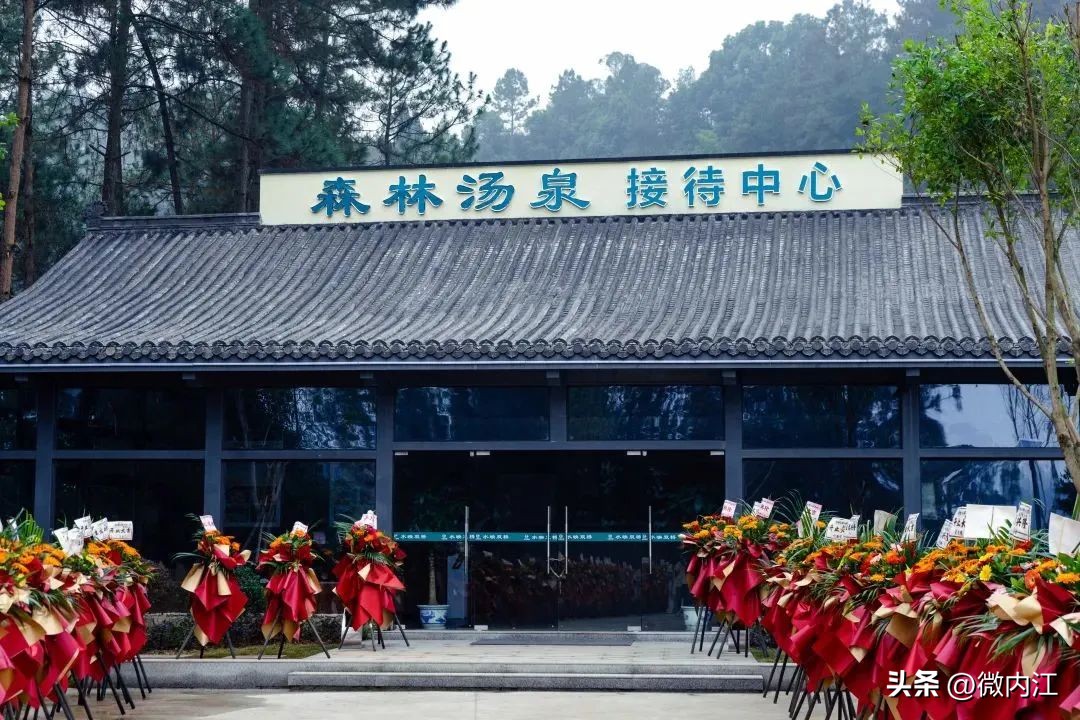 内江周边泡温泉的地方,内江好玩的地方森林公园