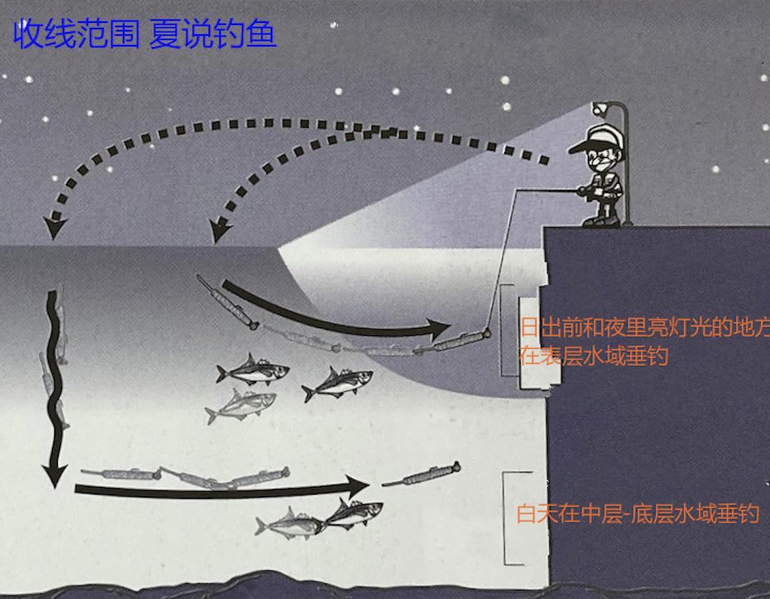 竹荚鱼钓法日本一年吃几亿条日本专业海钓入门防波堤钓书籍